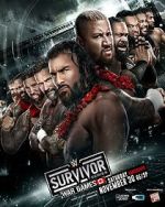 Watch WWE Survivor Series WarGames (TV Special 2024) Movies123