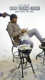 Watch PPP Loan Gone Movies123