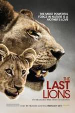 Watch The Last Lions Movies123