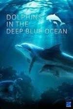 Watch Dolphins in the Deep Blue Ocean Movies123
