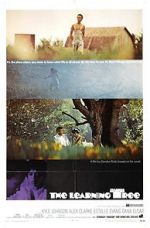 Watch The Learning Tree Movies123