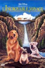 Watch Homeward Bound: The Incredible Journey Movies123
