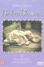 Watch Broken Blossoms or The Yellow Man and the Girl Movies123