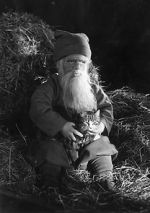 Watch Tomten Movies123