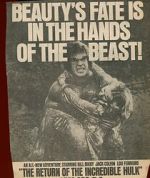 Watch The Return of the Incredible Hulk Movies123