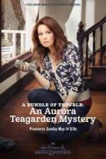 Watch A Bundle of Trouble: An Aurora Teagarden Mystery Movies123