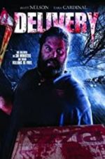 Watch Delivery Movies123