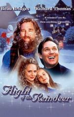 Watch The Christmas Secret Movies123