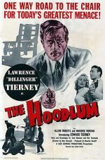 Watch The Hoodlum Movies123