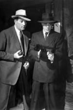 Watch No Orchids for Miss Blandish Movies123