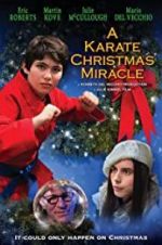 Watch A Karate Christmas Miracle Movies123