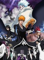Watch Bleach the Movie 2: The Diamond Dust Rebellion Movies123