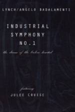 Watch Industrial Symphony No 1 The Dream of the Brokenhearted Movies123