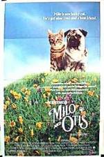 Watch Milo and Otis Movies123