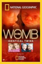 Watch National Geographic: In the Womb - Identical Twins Movies123