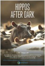 Watch Hippos After Dark Movies123