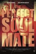 Watch The Perfect Soulmate Movies123