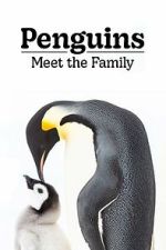 Watch Penguins: Meet the Family Movies123