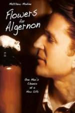 Watch Flowers for Algernon Movies123