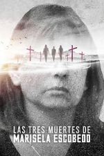 Watch The Three Deaths of Marisela Escobedo Movies123