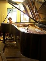 Watch Note by Note: The Making of Steinway L1037 Movies123