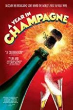 Watch A Year in Champagne Movies123