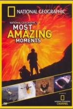 Watch National Geographics Most Amazing Moments Movies123