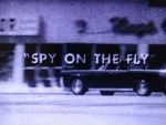 Watch Spy on the Fly (Short 1967) Movies123