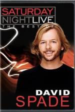Watch Saturday Night Live The Best of David Spade Movies123