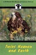 Watch Twixt Heaven and Earth Movies123