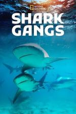 Watch Shark Gangs Movies123