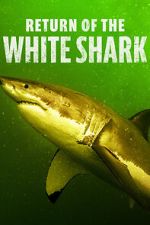 Watch Return of the White Shark Movies123