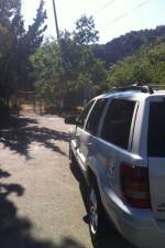 Watch Nefarious Nellie Movies123