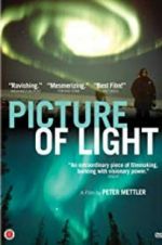 Watch Picture of Light Movies123