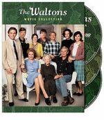 Watch A Day for Thanks on Walton\'s Mountain Movies123