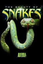 Watch Beauty of Snakes Movies123