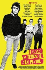 Watch I Was a Teenage Sex Pistol Movies123