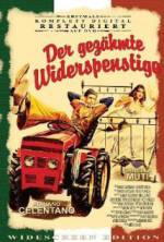 Watch The Taming of the Scoundrel Movies123