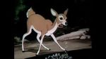 Watch Wacky Wildlife (Short 1940) Movies123