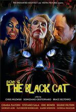 Watch POE 4: The Black Cat Movies123