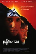 Watch The Karate Kid Part III Movies123