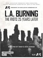 Watch L.A. Burning: The Riots 25 Years Later Movies123