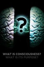 Watch What Is Consciousness? What Is Its Purpose? Movies123
