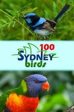 Watch 100 Sydney Birds Movies123