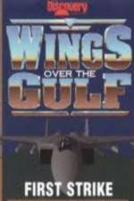 Watch Wings Over the Gulf Vol  1  First Strike Movies123