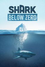 Watch Shark Below Zero Movies123