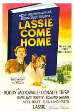 Watch Lassie Come Home Movies123