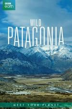 Watch Wild Patagonia Movies123