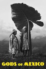 Watch Gods of Mexico Movies123