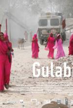 Watch Gulabi Gang Movies123